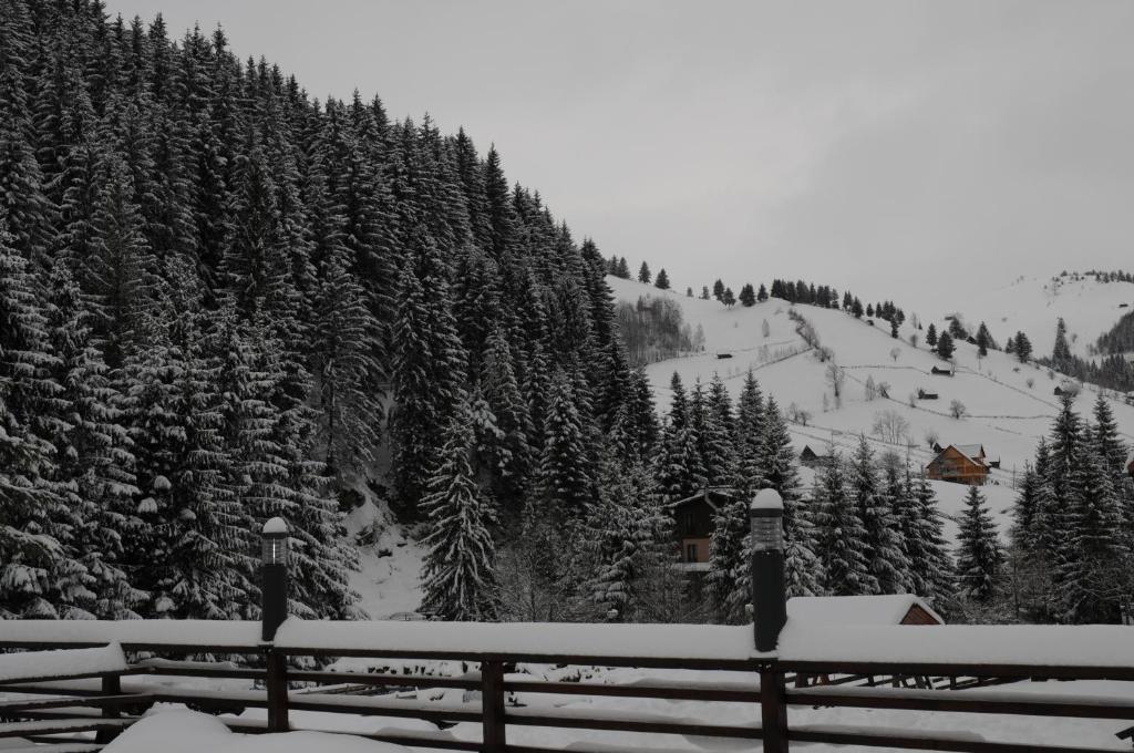 Mistral Resort Moeciu De Sus Exteriör bild